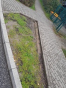 Foto: fehlender Oberboden 